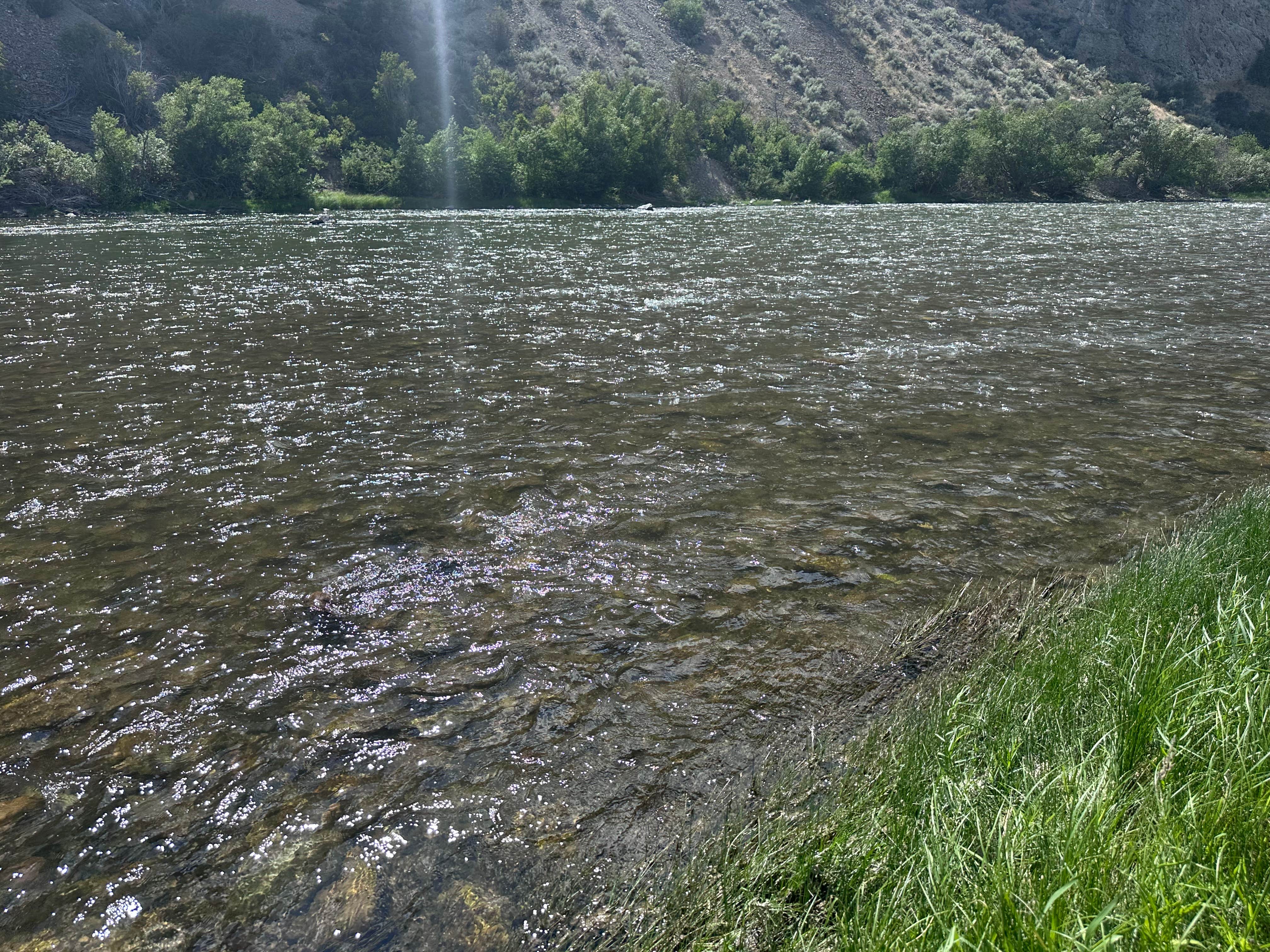 Camper-submitted photo at Colston Creek Campground near May, ID