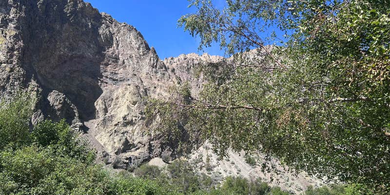 Camper submitted image from Colston Creek Campground