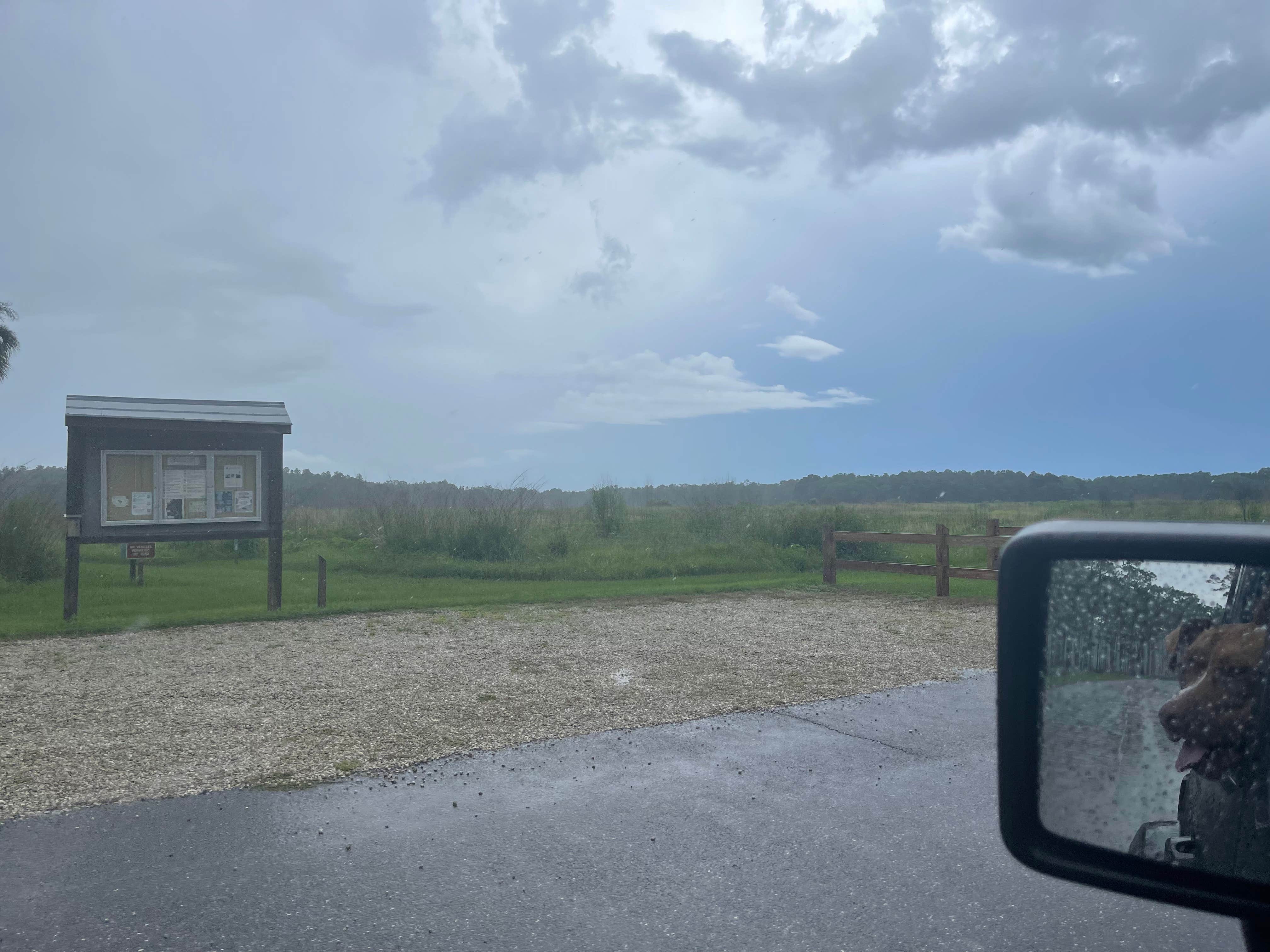 Joe R.'s photo of camping with pets at Colt Creek State Park Campground near Zephyrhills, FL
