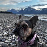 Review photo of Colter Bay Campground at Colter Bay Village - Grand Teton National Park by Sabrina W., June 29, 2026