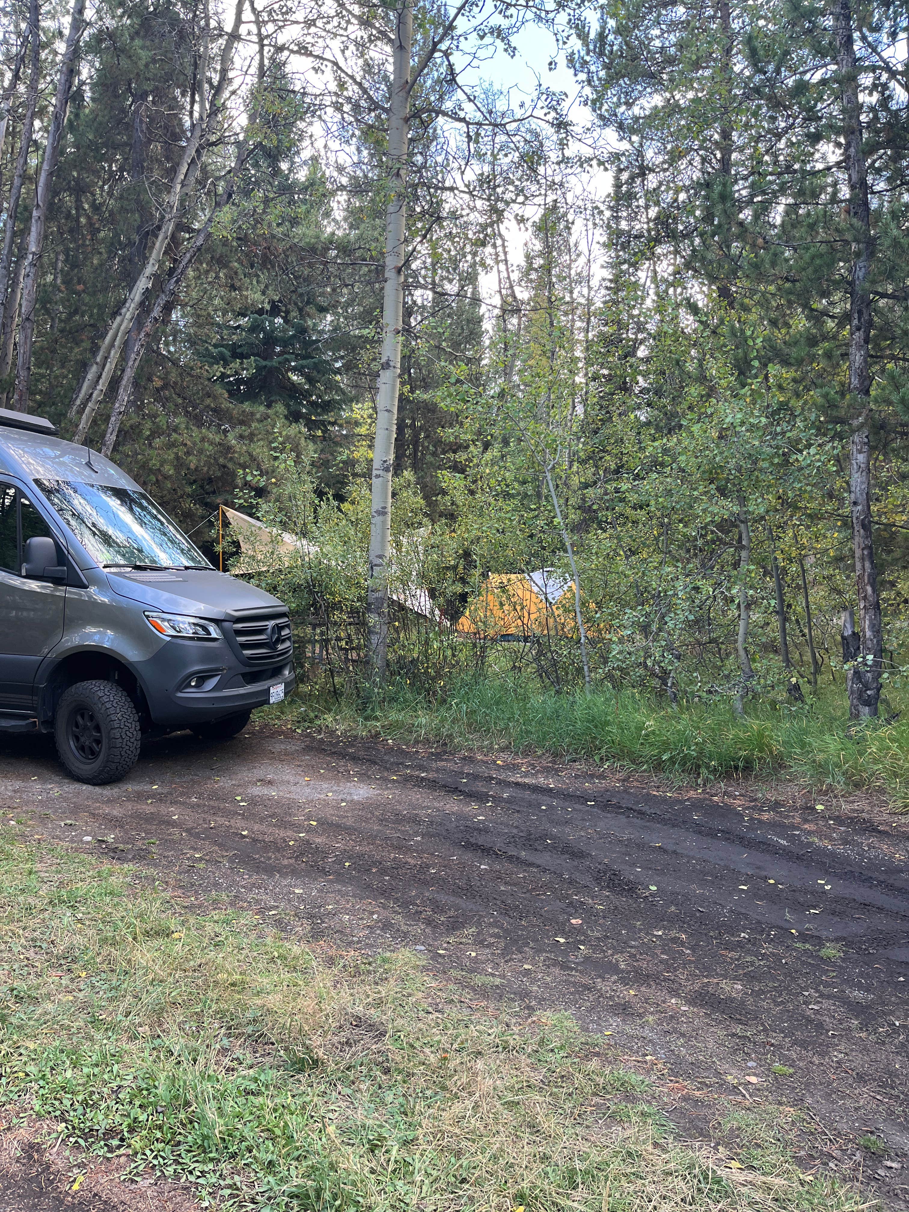 Camper submitted image from Colter Bay Campground at Colter Bay Village - Grand Teton National Park - 3