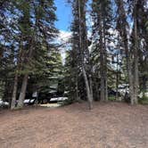 Review photo of Colter Bay Campground at Colter Bay Village - Grand Teton National Park by Jennifer O., August 15, 2025