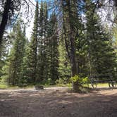Review photo of Colter Bay Campground at Colter Bay Village - Grand Teton National Park by Jennifer O., August 15, 2025