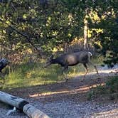 Review photo of Colter Bay RV Park at Colter Bay Village — Grand Teton National Park by Audrey F., February 11, 2024