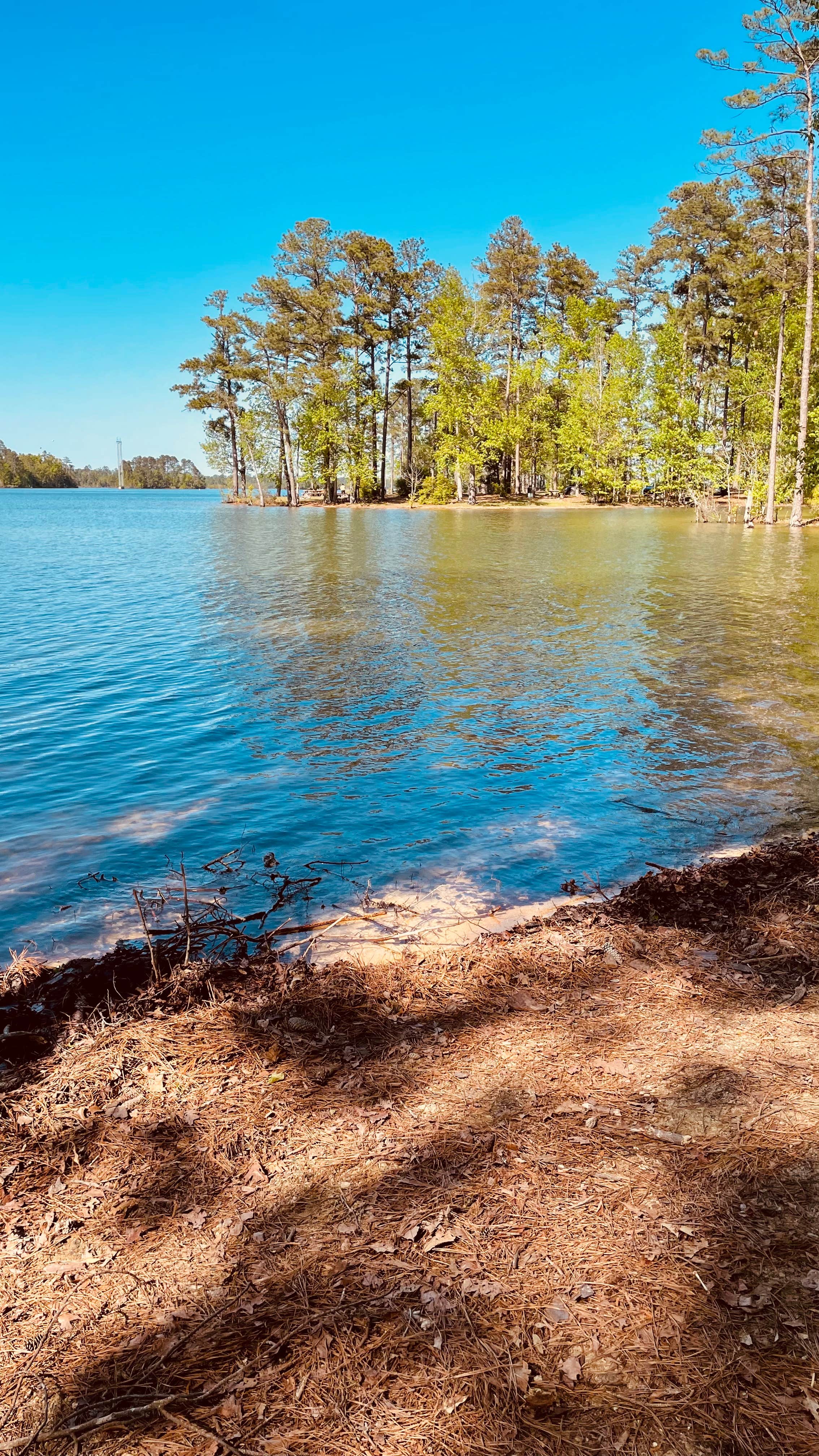 Camping near Clarks Hill: Wildwood Park Columbia County Park, J. Strom Thurmond Lake, Georgia
