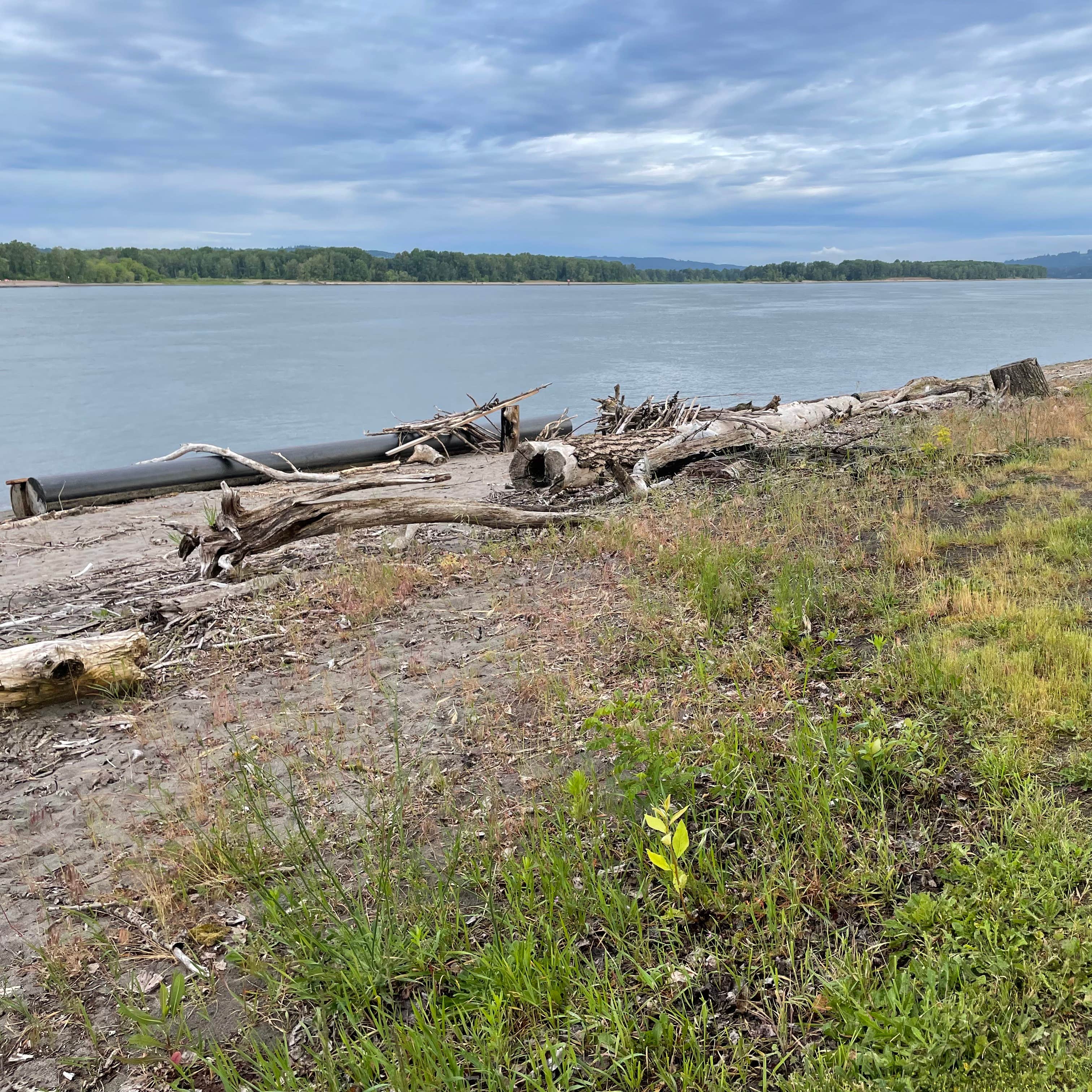 Columbia River Rv Park Portland Oregon - 7hlkf11
