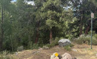Reagan M.'s photo of camping with pets at Columbine Landing Recreation Site near Vail, CO