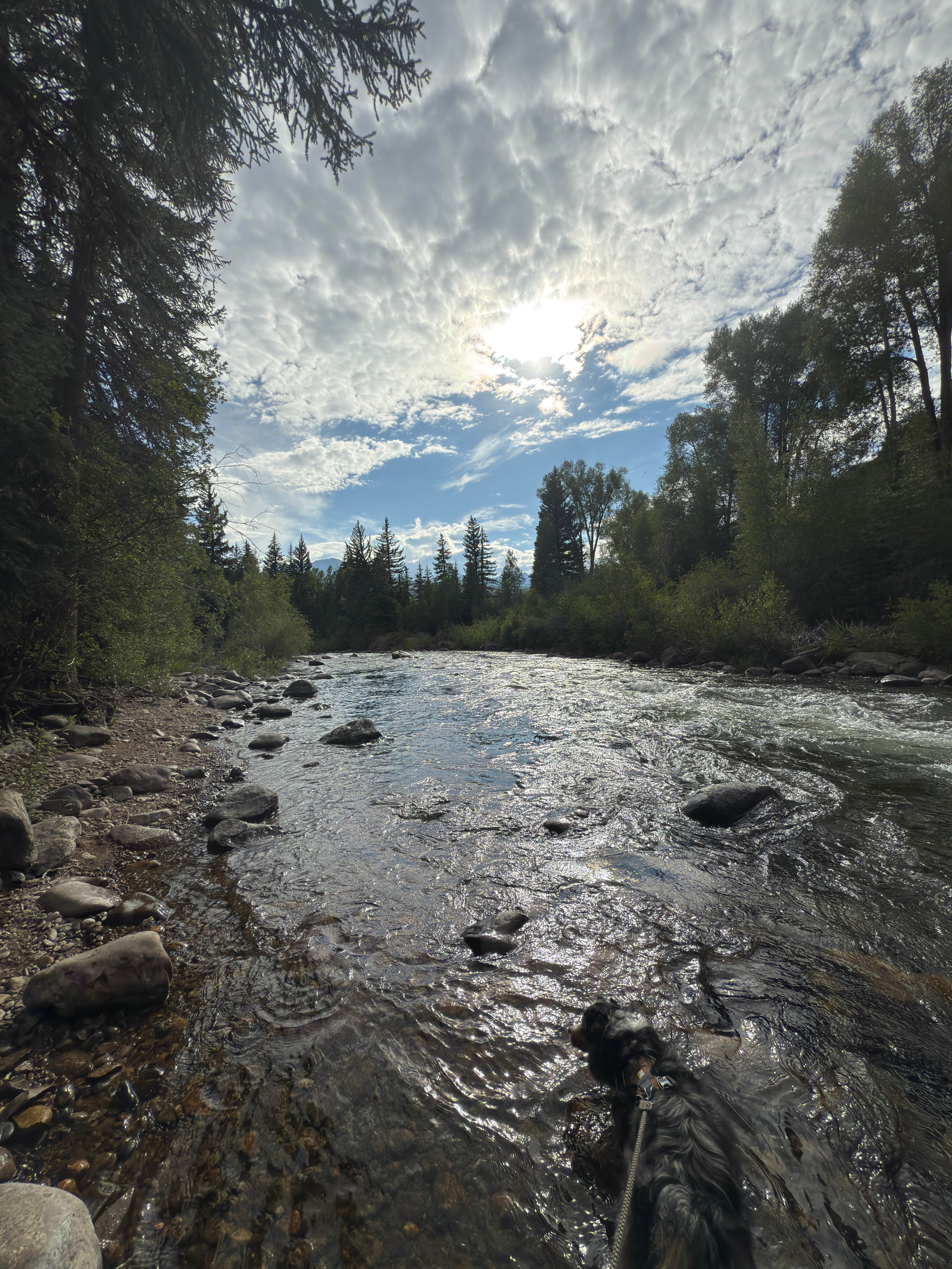 Camper-submitted photo at Columbine Landing Recreation Site near Heeney, CO