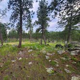 Review photo of Comanche Park by lee's freelance M., July 17, 2025