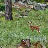 Review photo of Comanche Park by lee's freelance M., July 17, 2025