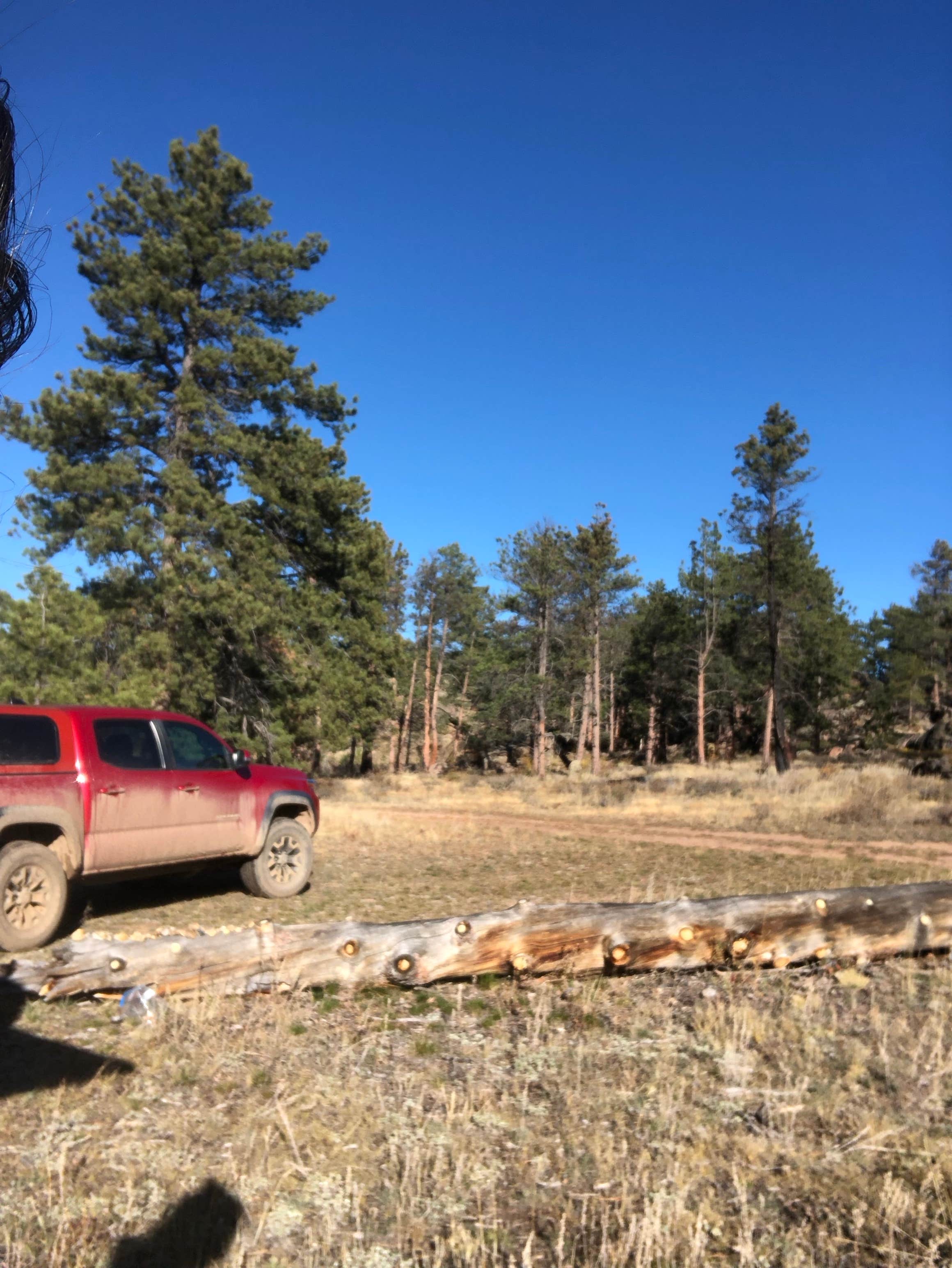 Camper-submitted photo at Comanche Peak View Campground near Bellvue, CO