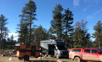 Meatball W.'s photo of camping with pets at Comanche Peak View Campground near Livermore, CO