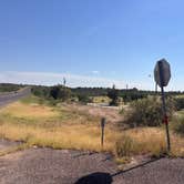 Review photo of Comanche Trail Park Campground by Zoey T., August 12, 2025
