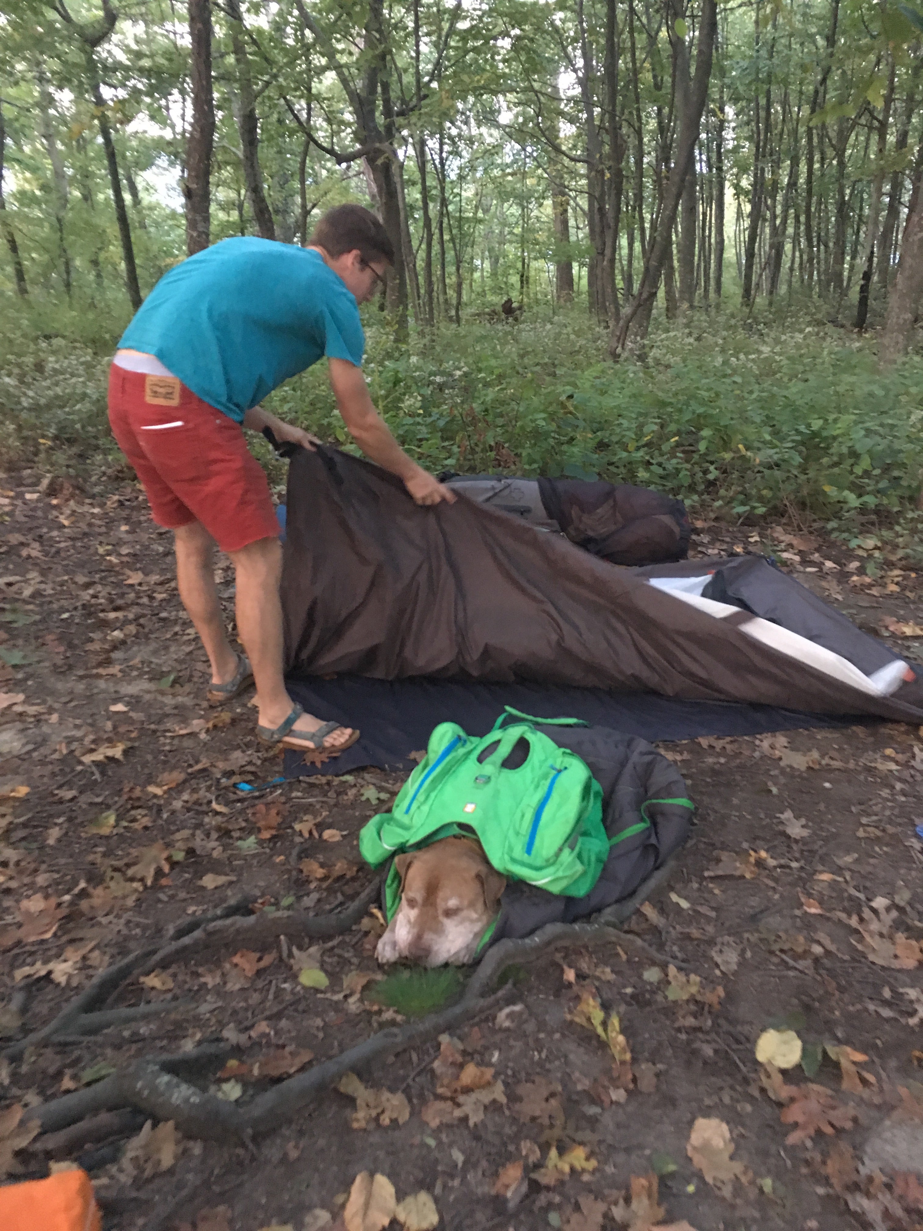 Camper submitted image from Compton Gap Backcountry camping — Shenandoah National Park - 1