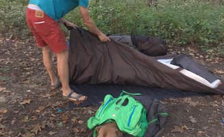 Les R.'s photo of a dispersed camping area at Compton Gap Backcountry camping — Shenandoah National Park near Ruckersville, VA