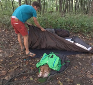 Camper-submitted photo from Compton Gap Backcountry camping — Shenandoah National Park