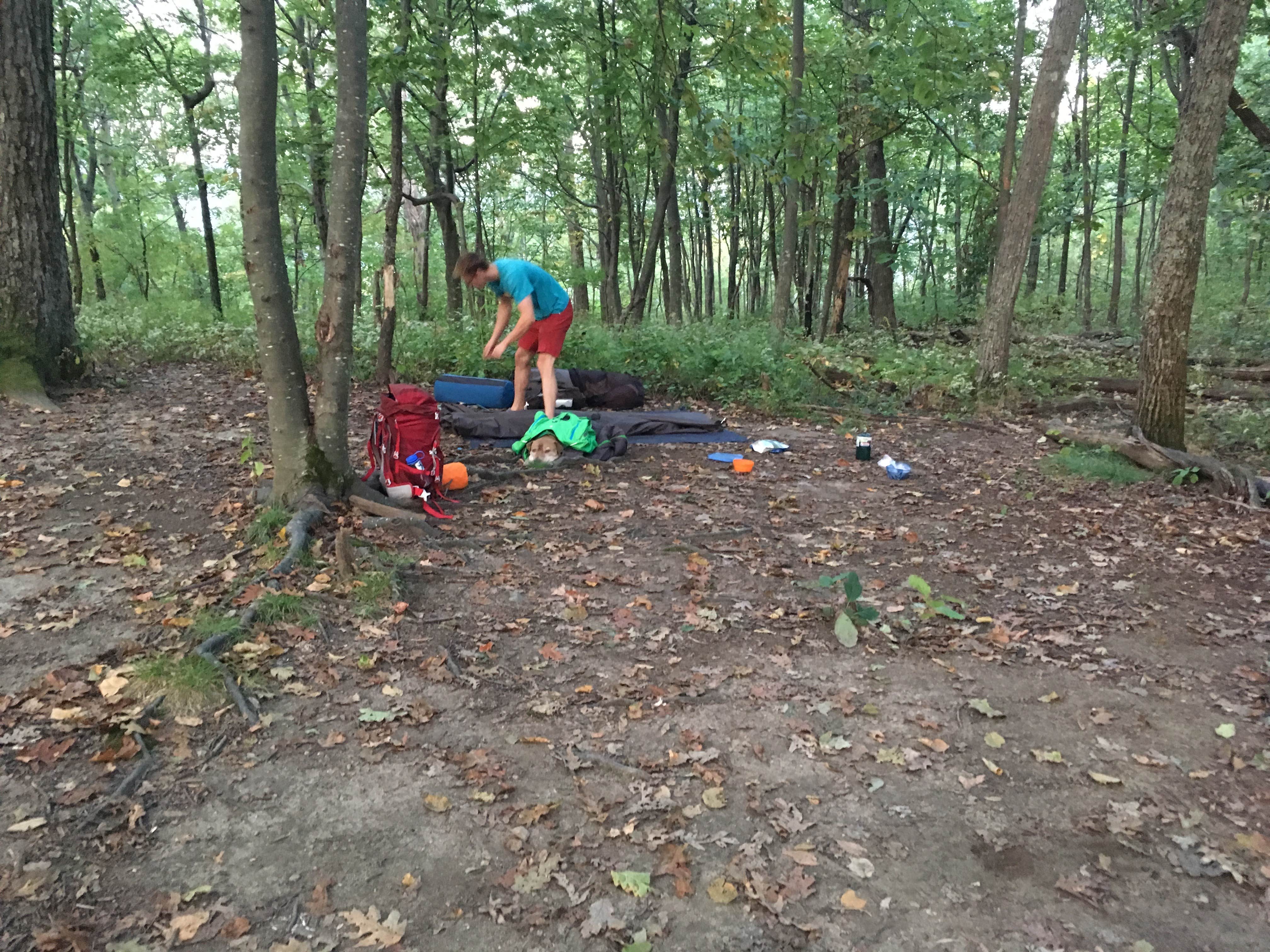 Camper submitted image from Compton Gap Backcountry camping — Shenandoah National Park - 2