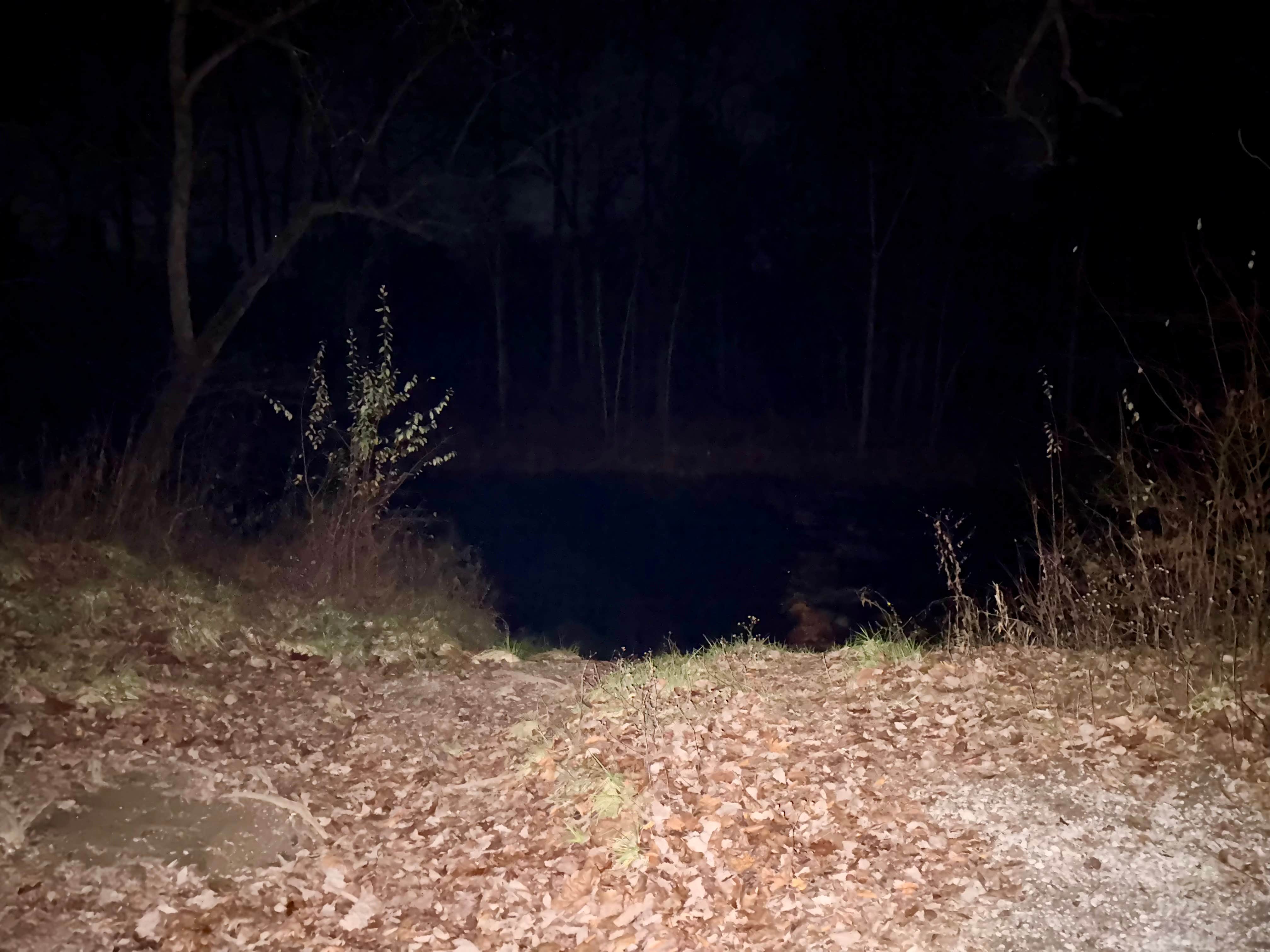 Camper submitted image from Conasauga River Camp - 2