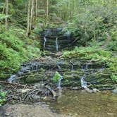 Review photo of Conasauga River - Dispersed Site Sheeds Creek Road by Bob P., June 13, 2024