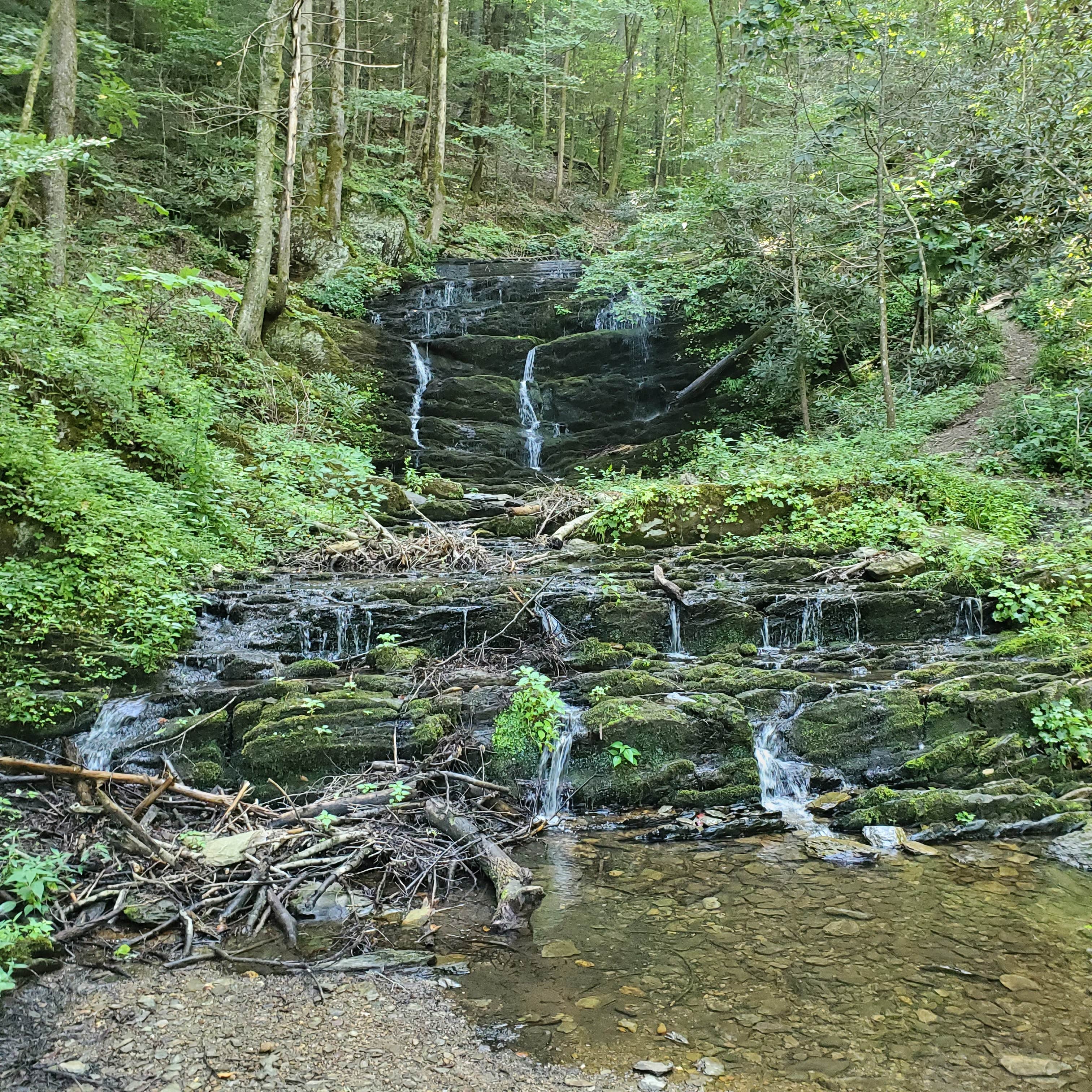 Camper submitted image from Conasauga River - Dispersed Site Sheeds Creek Road - 2