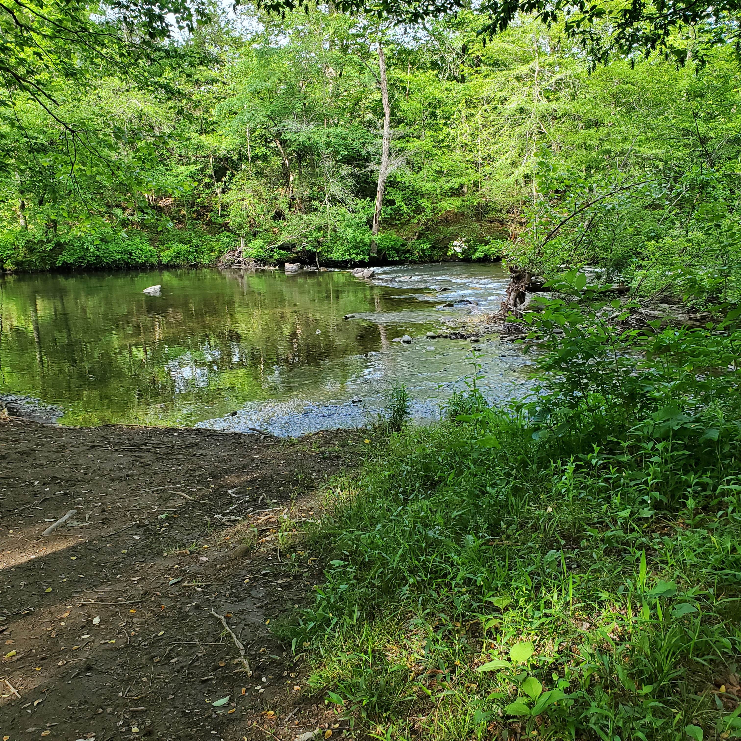 Camper submitted image from Conasauga River - Dispersed Site Sheeds Creek Road - 3