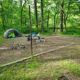 Review photo of Conasauga River - Dispersed Site Sheeds Creek Road by Bob P., June 13, 2024