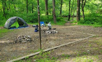 Bob P.'s photo at Conasauga River - Dispersed Site Sheeds Creek Road near Cisco, GA