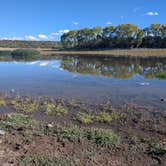 Review photo of Concho Lake Recreation Area by Kiran B., October 9, 2025
