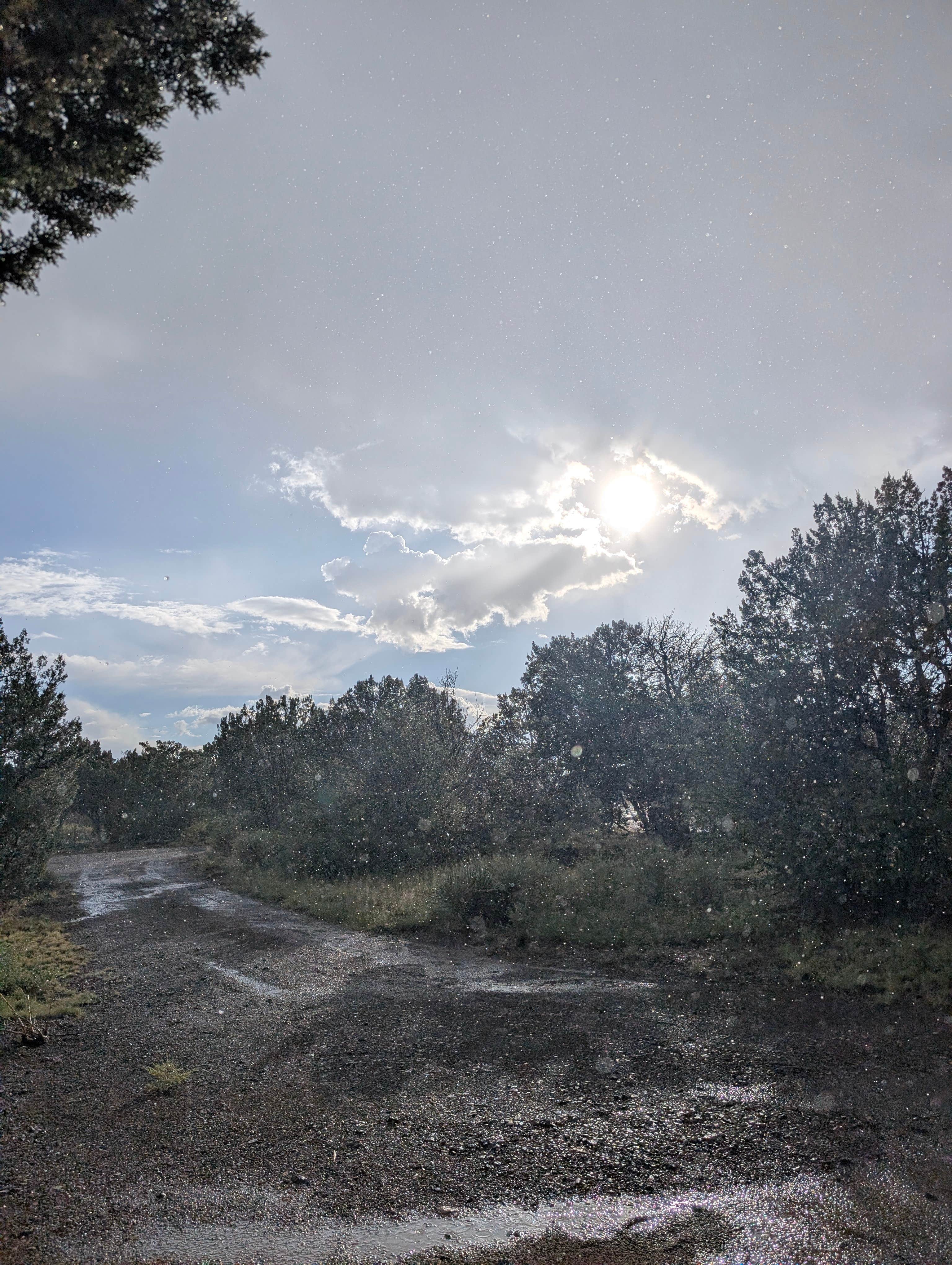 Camper-submitted photo at Concho Lake Recreation Area near St. Johns, AZ