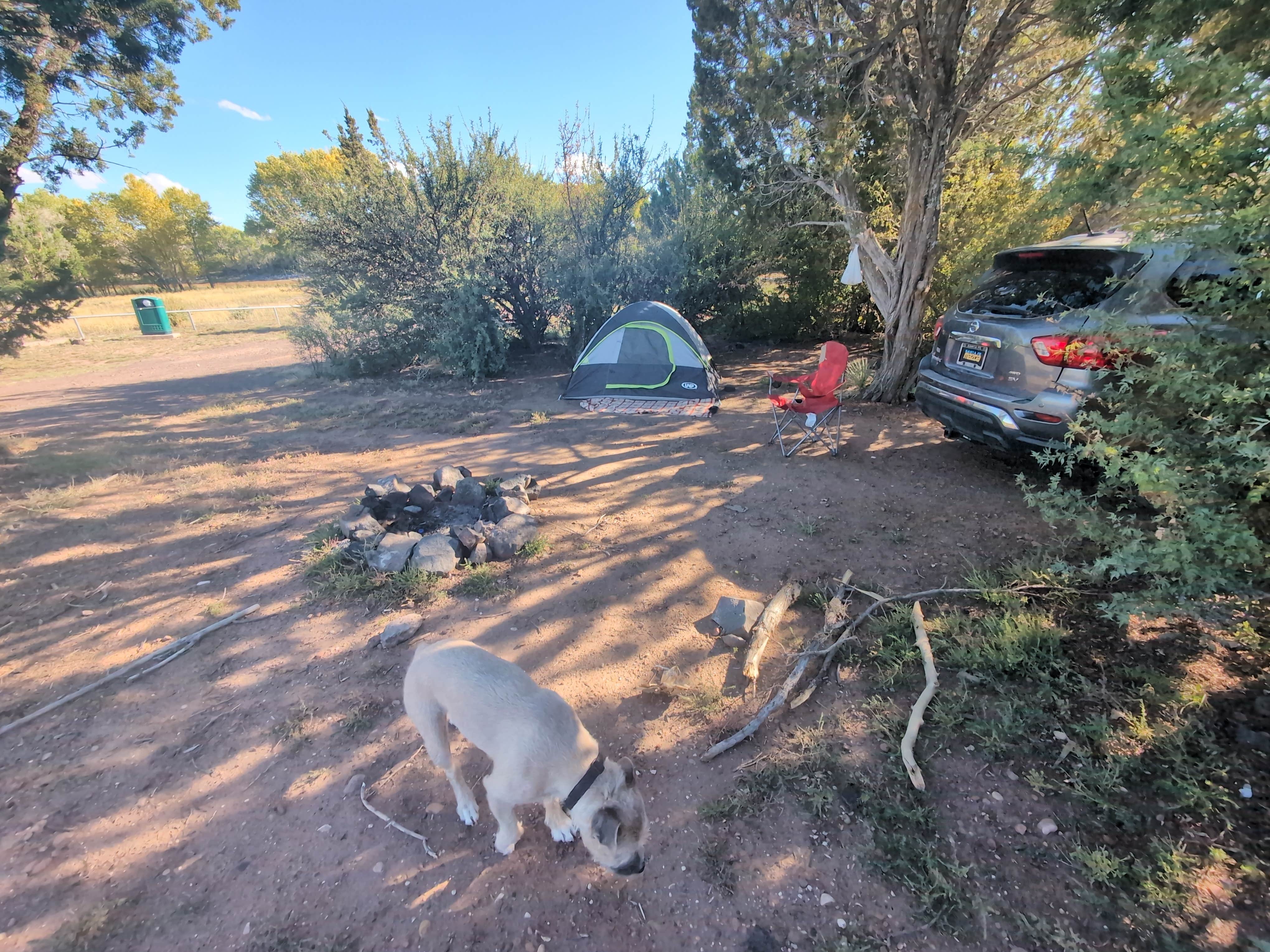 Kiran B.'s photo of tent camping at Concho Lake Recreation Area near Alpine, AZ