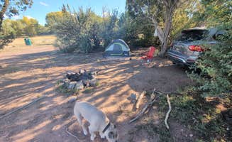 Kiran B.'s photo of camping with pets at Concho Lake Recreation Area near Alpine, AZ