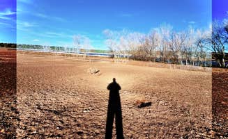 Twan M.'s photo of a dispersed camping area at Concho lake near St. Johns, AZ