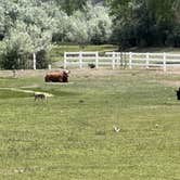 Review photo of Concho lake by Carol , June 8, 2026