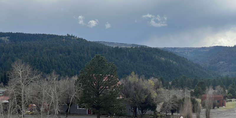 Camper submitted image from Conejos River Campground