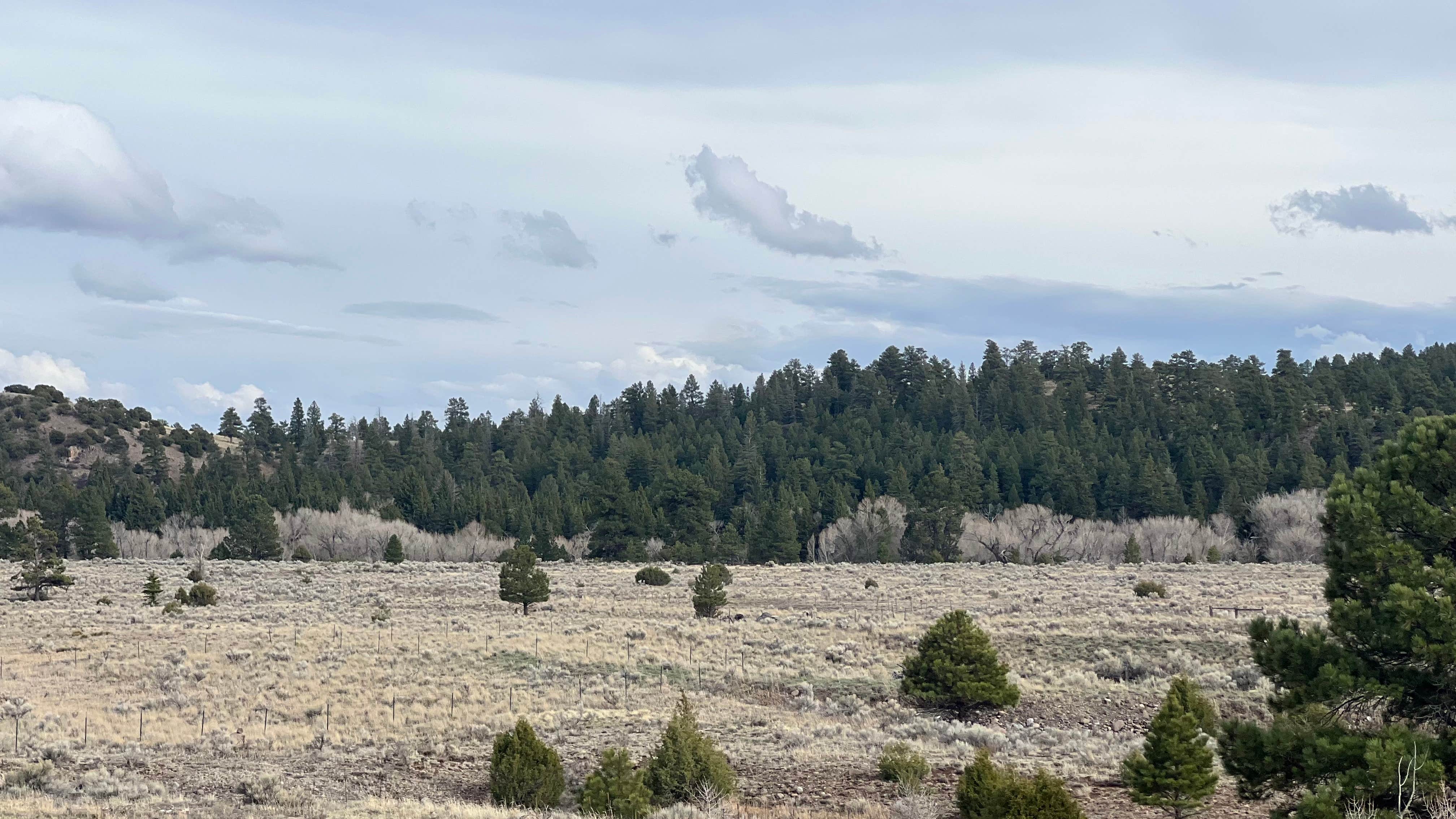 Camper-submitted photo at Conejos River Campground near Antonito, CO
