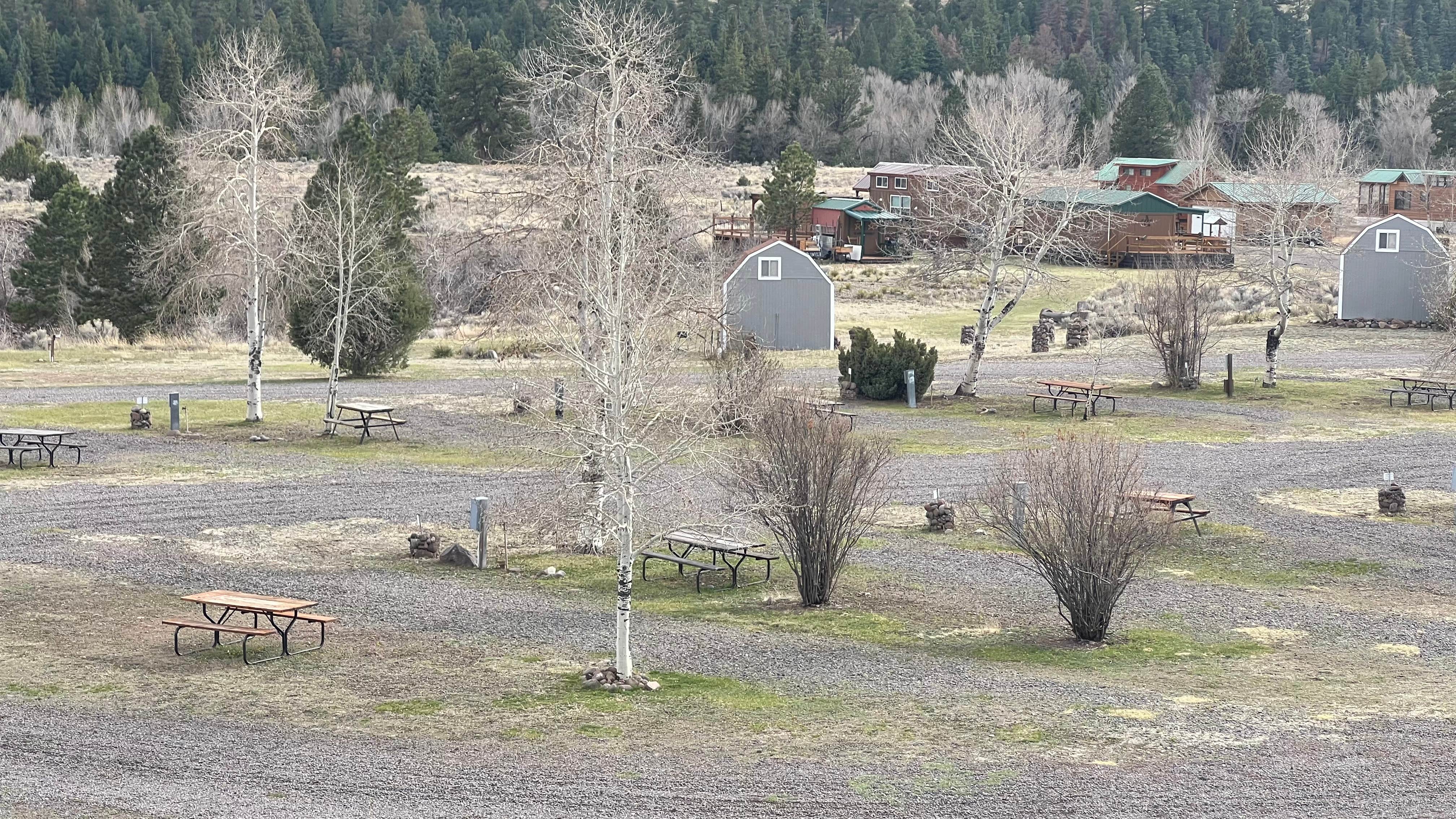 Camper-submitted photo at Conejos River Campground near Antonito, CO