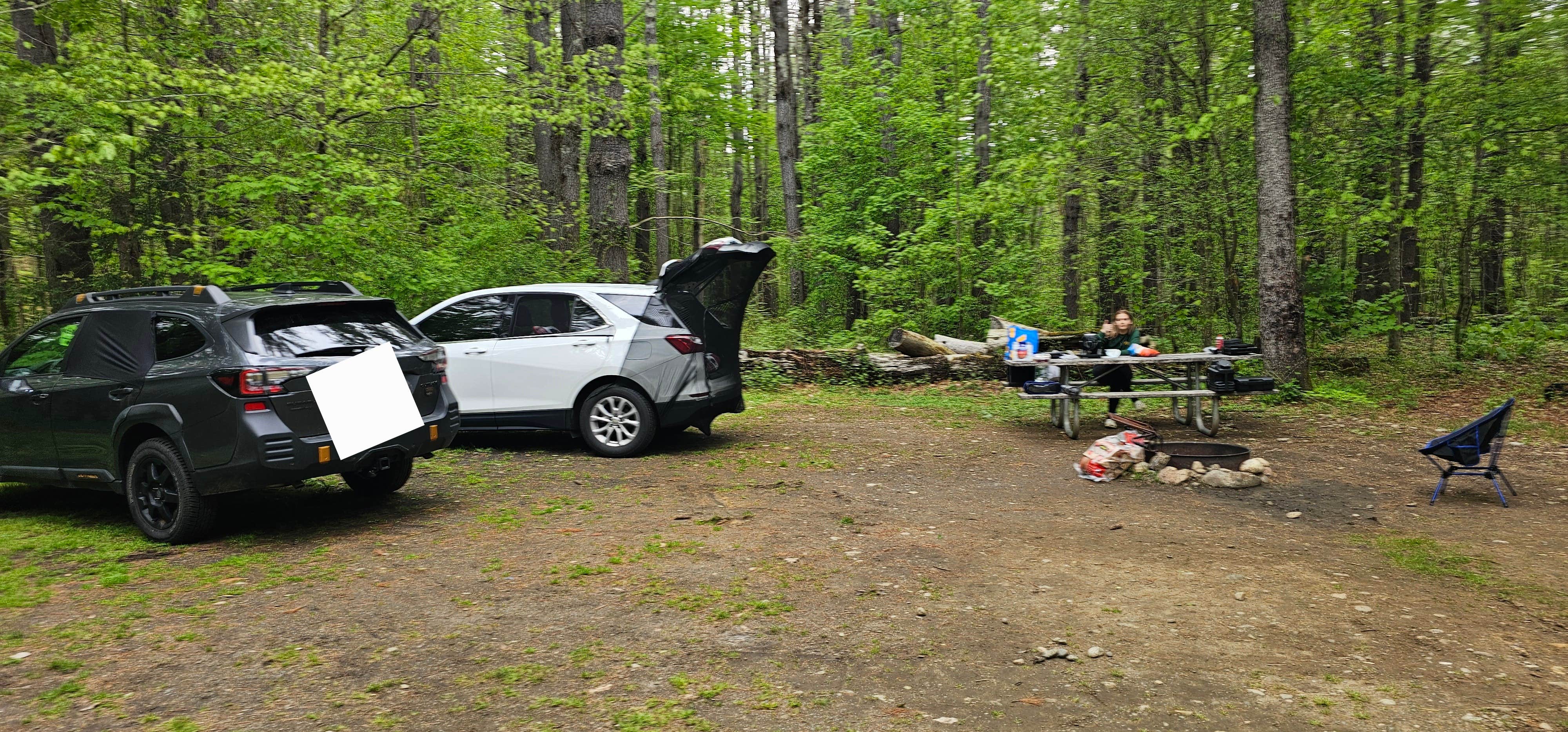 Camper-submitted photo at Austin Hawes Memorial Campground — American Legion State Forest near Shelton, CT