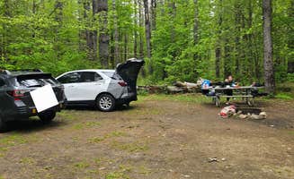 Denise M.'s photo at Austin Hawes Memorial Campground — American Legion State Forest near New Britain, CT