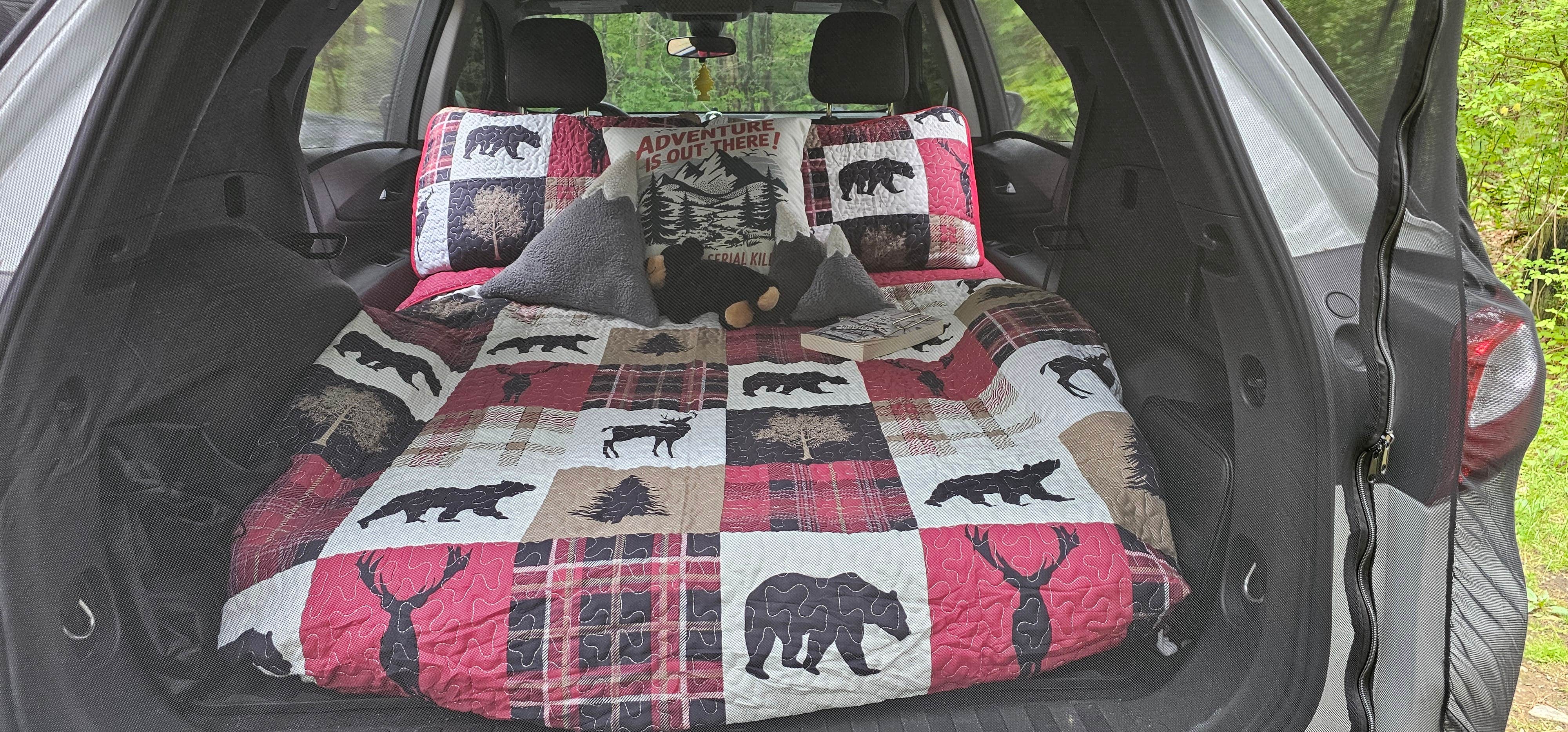 Denise M.'s photo of camping with pets at Austin Hawes Memorial Campground — American Legion State Forest near Hop Brook Lake