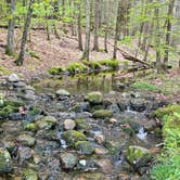 Review photo of Austin Hawes Memorial Campground — American Legion State Forest by Denise M., May 13, 2026