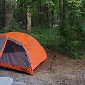 Review photo of Austin Hawes Memorial Campground — American Legion State Forest by Sue B., May 22, 2026