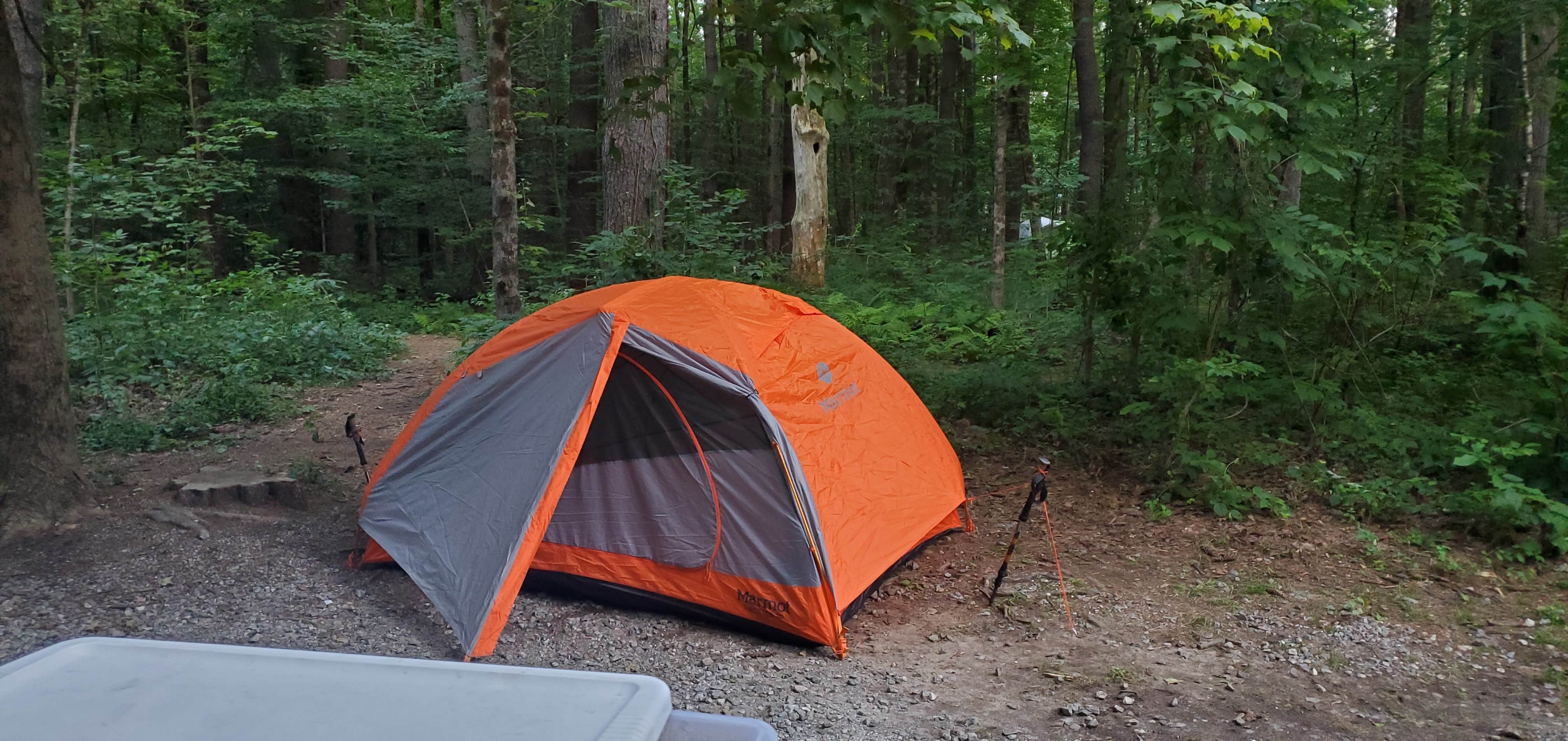 Camper-submitted photo at Austin Hawes Memorial Campground — American Legion State Forest near Northfield Brook Lake