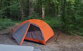 Sue B.'s photo at Austin Hawes Memorial Campground — American Legion State Forest near Avon, CT