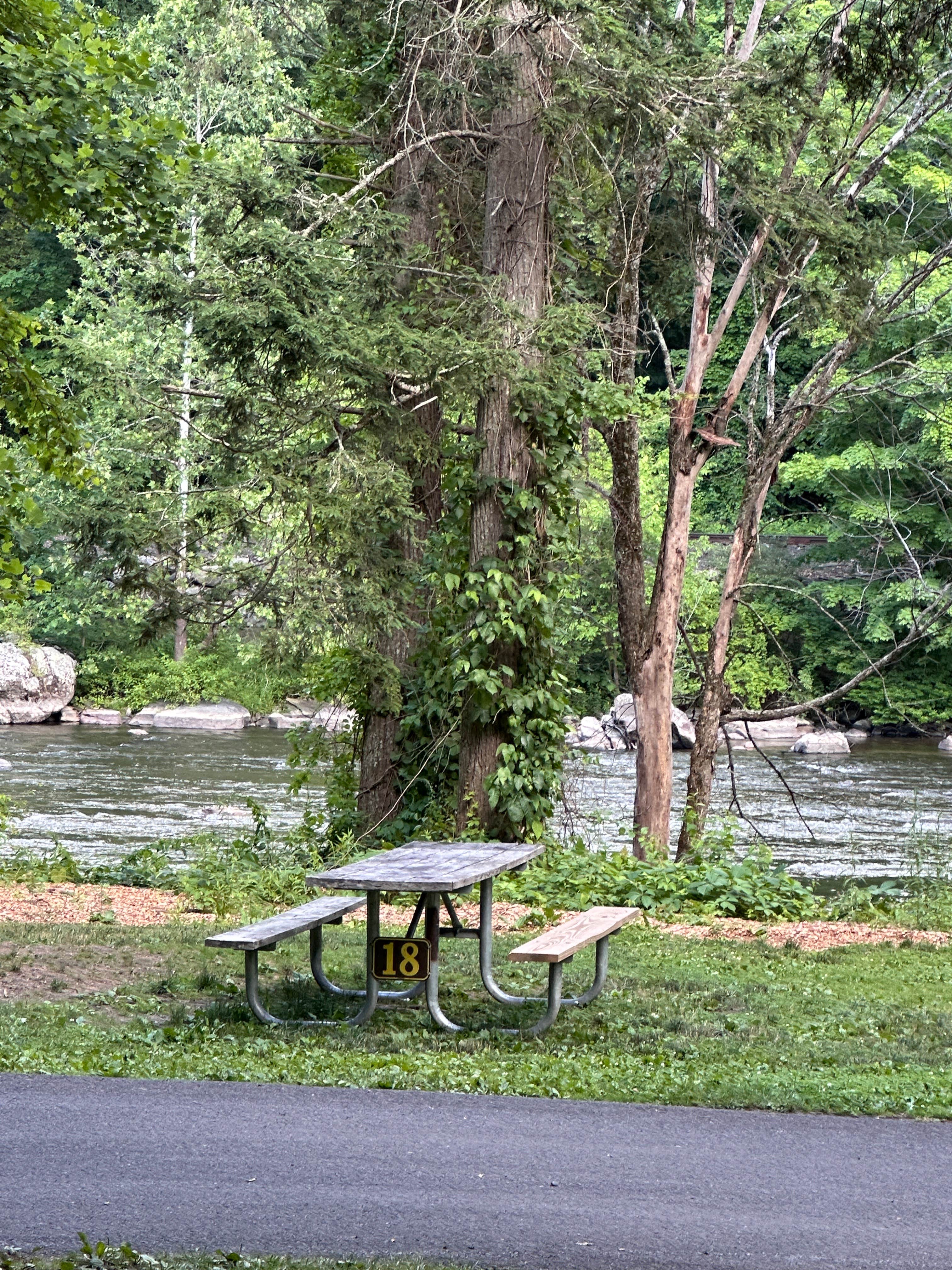 Camper-submitted photo at Housatonic Meadows State Park Campground near Northfield Brook Lake