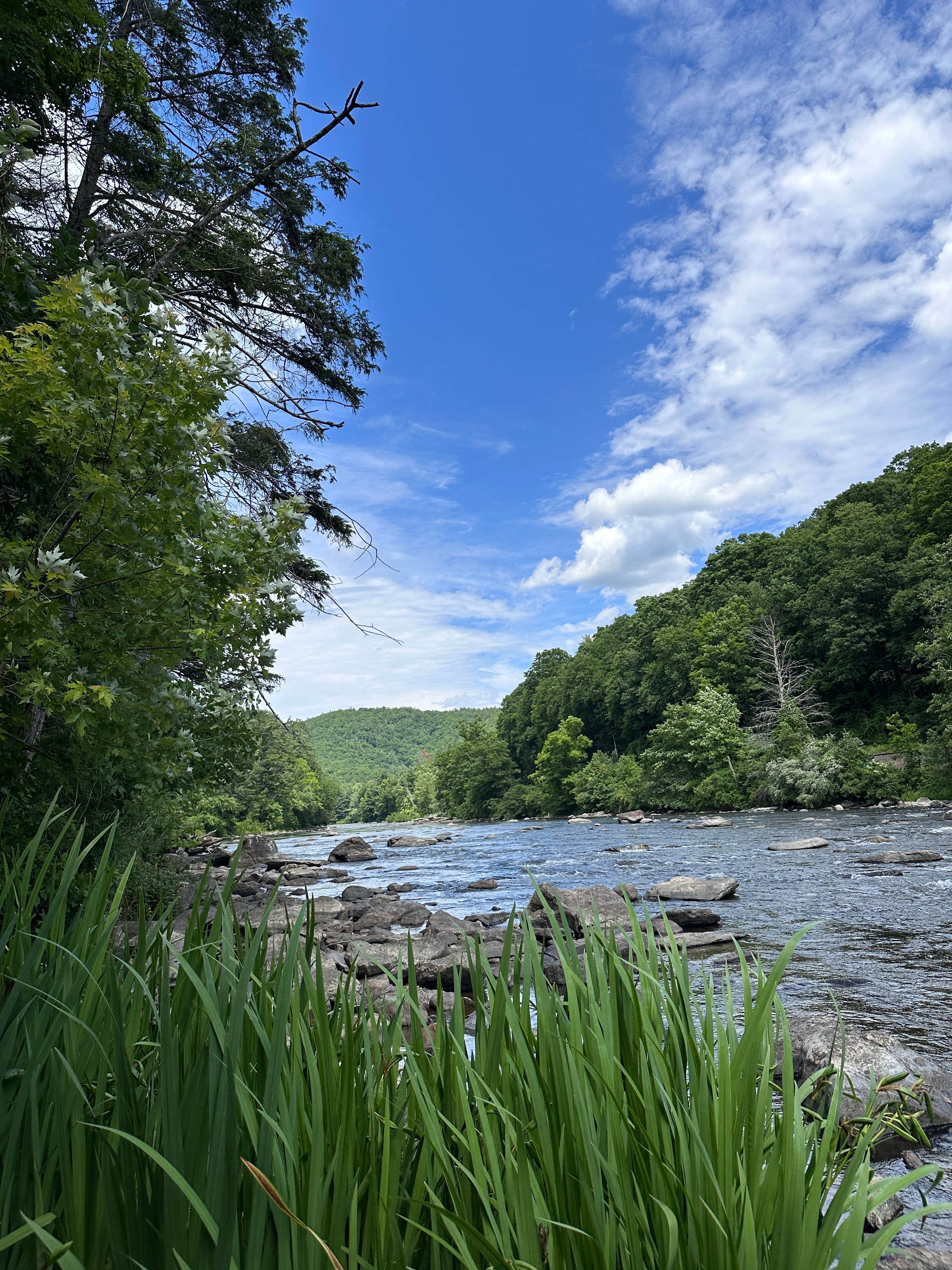 Camper-submitted photo at Housatonic Meadows State Park Campground near Bantam, CT
