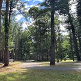 Review photo of Housatonic Meadows State Park Campground by Dwight F., June 27, 2026