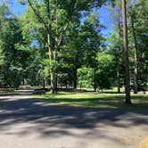 Review photo of Housatonic Meadows State Park Campground by Dwight F., June 25, 2026