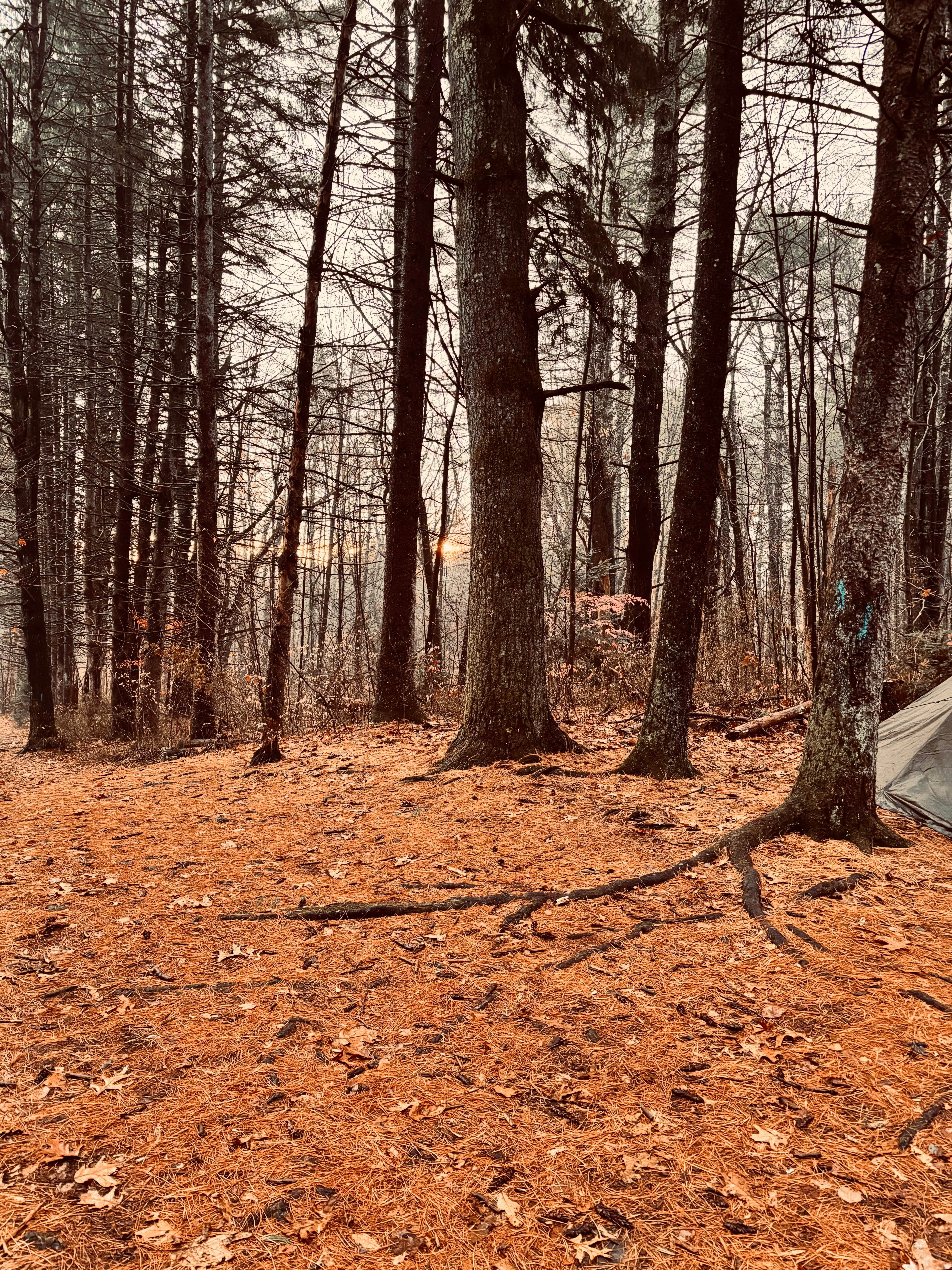 Camper-submitted photo at Lake Waramaug State Park Campground near Stamford, CT