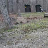 Review photo of Green Falls Campground by Sue B., October 23, 2025