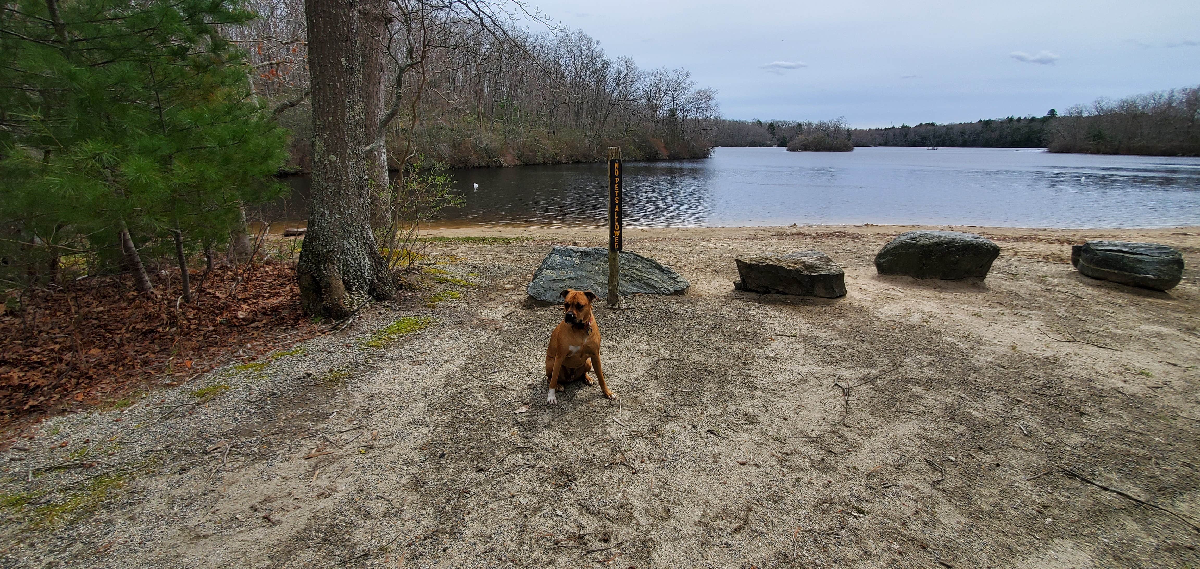 Camper-submitted photo at Green Falls Campground near Hope Valley, RI